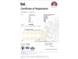 BSI证书