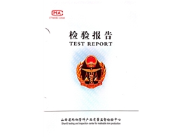 2023年检验报告