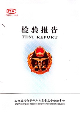2023年检验报告