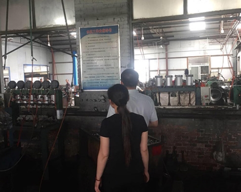 BSI质量体系认证检查现场